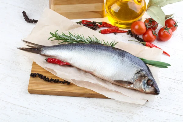 Aringa con cipolla e rosmarino — Foto Stock