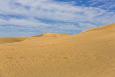 Kanarya çölde Gran Canaria ada