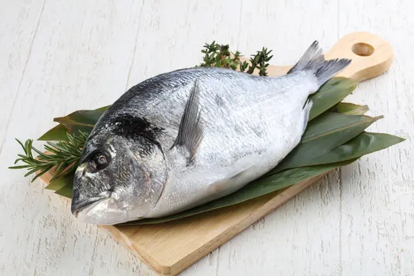 ham dorado balığı