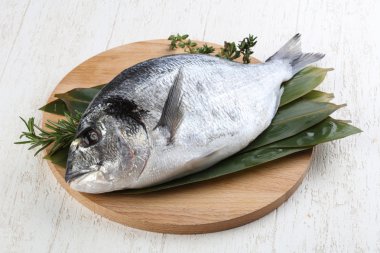 ham dorado balığı