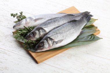 Çiğ deniz kabuğu balığı