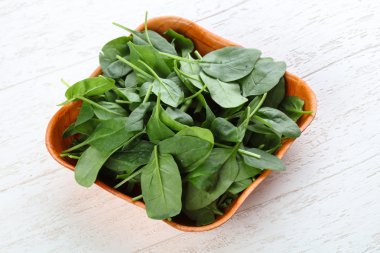 taze ıspanak yaprakları