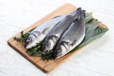 Çiğ deniz kabuğu balığı