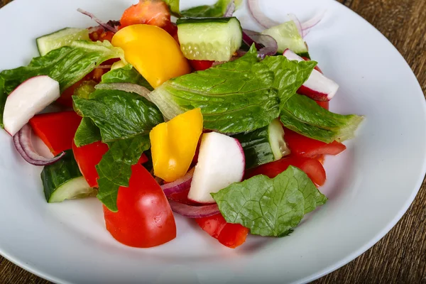 Taze sebze salatası. — Stok fotoğraf