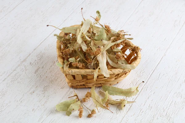 Dry linden flowers — Stock Photo, Image