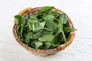 taze ıspanak yaprakları