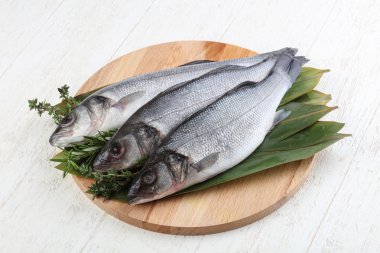 Çiğ deniz kabuğu balığı