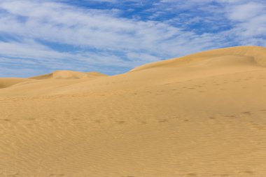 Kanarya çölde Gran Canaria ada