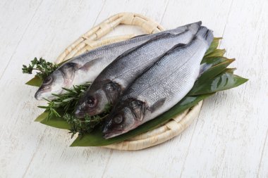 Çiğ deniz kabuğu balığı