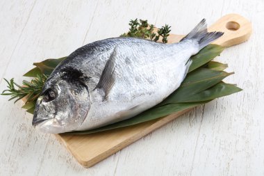 ham dorado balığı