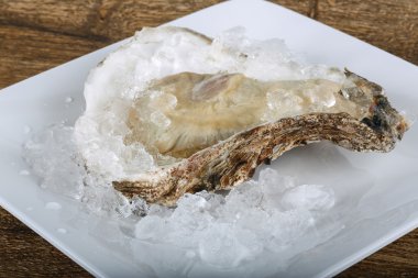 Taze çiğ istiridye