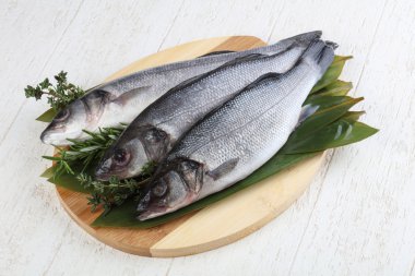 Çiğ deniz kabuğu balığı