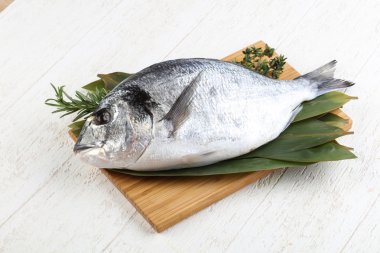 ham dorado balığı