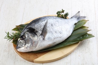 ham dorado balığı