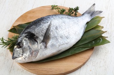 ham dorado balığı