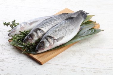 Çiğ deniz kabuğu balığı