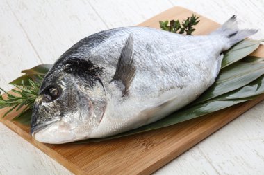 ham dorado balığı