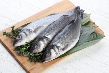 Çiğ deniz kabuğu balığı