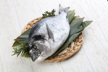 ham dorado balığı