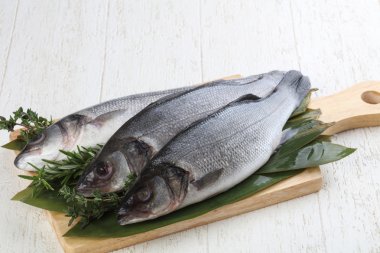 Çiğ deniz kabuğu balığı 