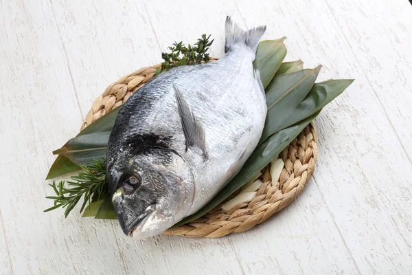 ham dorado balığı