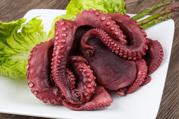 Gekochter Oktopus zum Verzehr bereit — Stockfoto