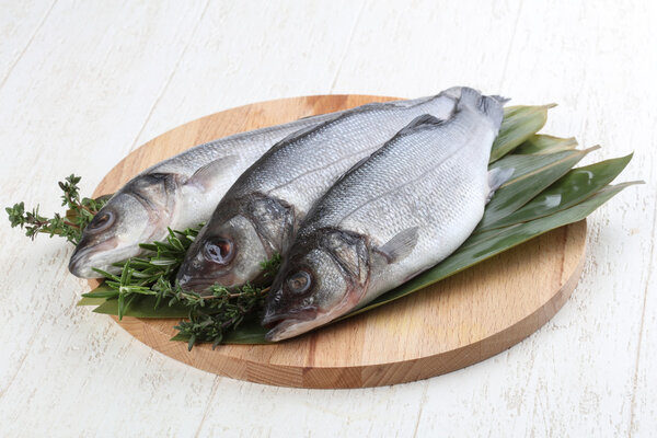 Raw seabass fish