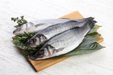 Çiğ deniz kabuğu balığı