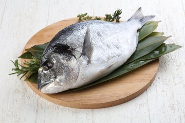 ham dorado balığı