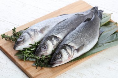 Çiğ deniz kabuğu balığı