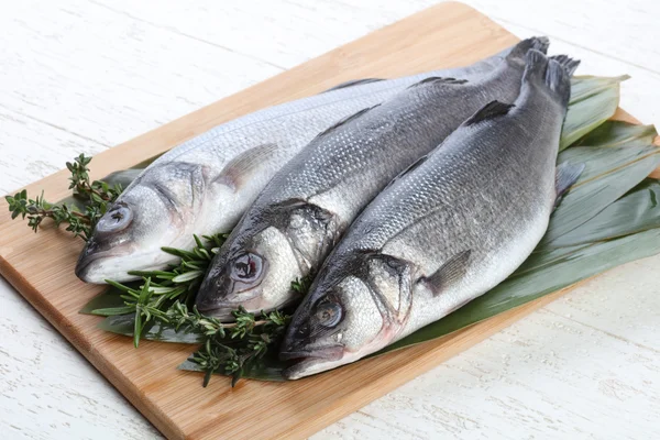 Çiğ deniz kabuğu balığı