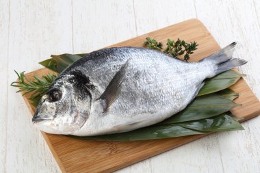 ham dorado balığı