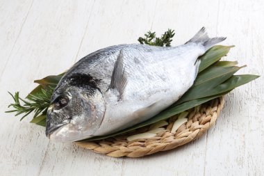 ham dorado balığı