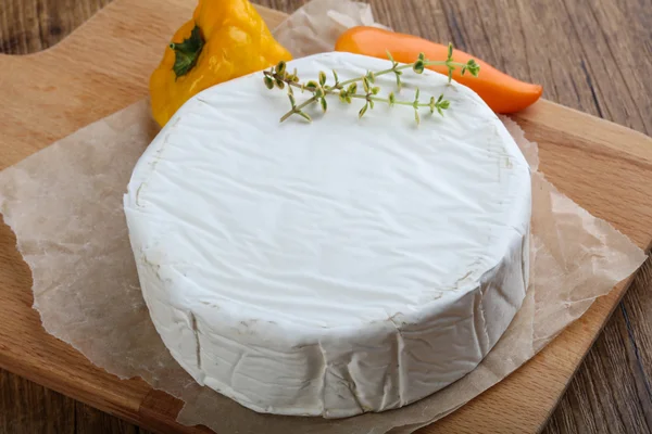 Delicioso queso camembert — Foto de Stock