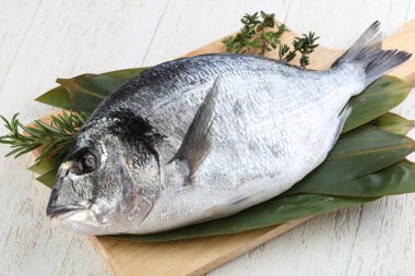 ham dorado balığı