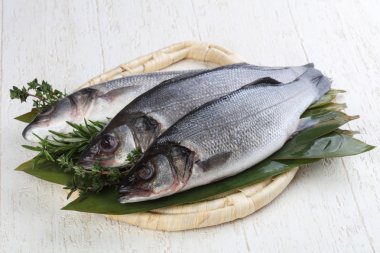 Çiğ deniz kabuğu balığı