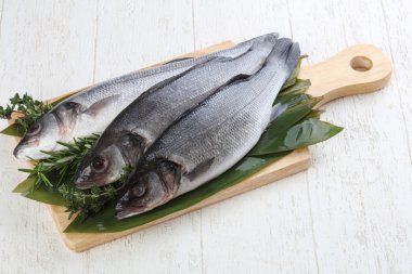 Çiğ deniz kabuğu balığı