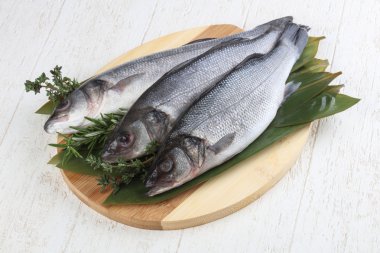 Çiğ deniz kabuğu balığı 