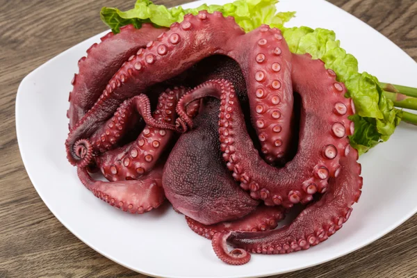 Gekookte octopus met saladebladeren — Stockfoto