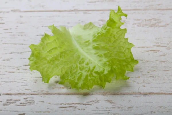 Fresh Salad leaf — Stock Photo, Image