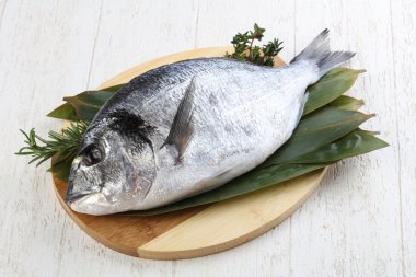 ham dorado balığı