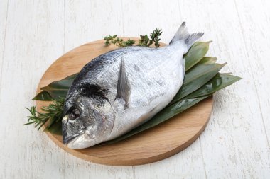 ham dorado balığı