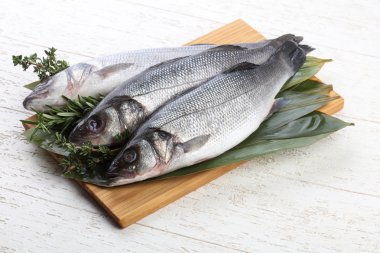 Çiğ deniz kabuğu balığı