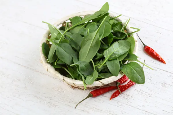 Verse rijpe spinazie bladeren — Stockfoto