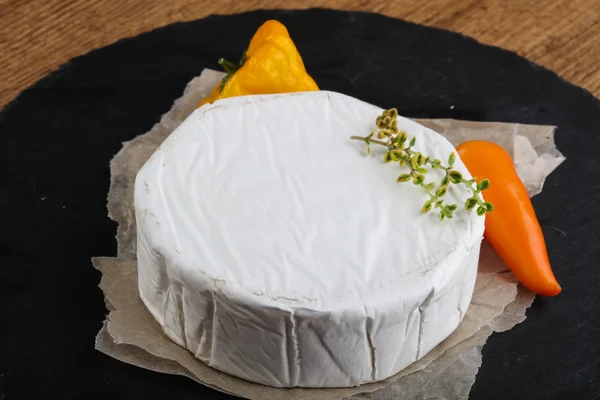 Delicioso queijo camembert — Fotografia de Stock