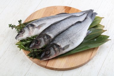 Çiğ deniz kabuğu balığı