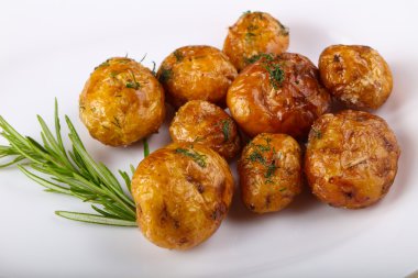 Genç fırında patates