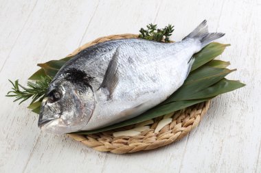 ham dorado balığı