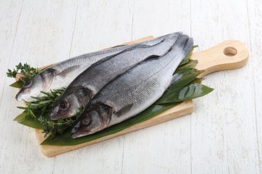 Çiğ deniz kabuğu balığı