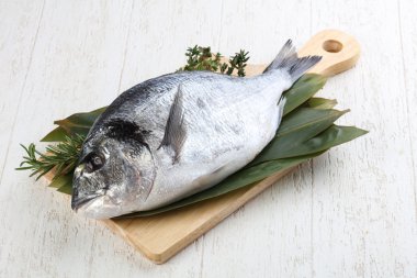 ham dorado balığı